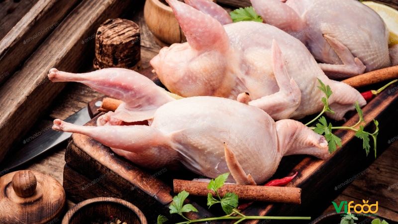 Bồ Câu Thịt Tươi Ngon: Giá Trị Dinh Dưỡng, Món Ngon Và Bảng Giá Sỉ Lẻ