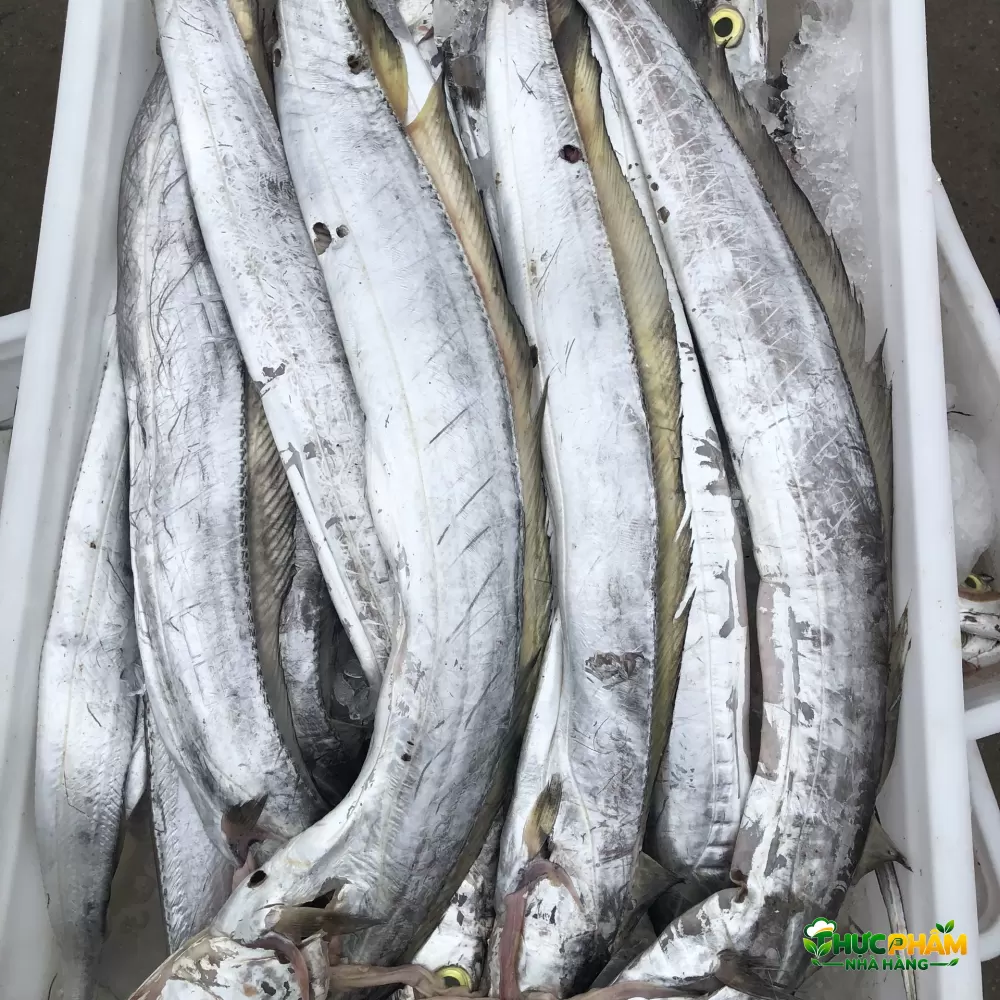 Cá Hố Đông Lạnh - ảnh 3
