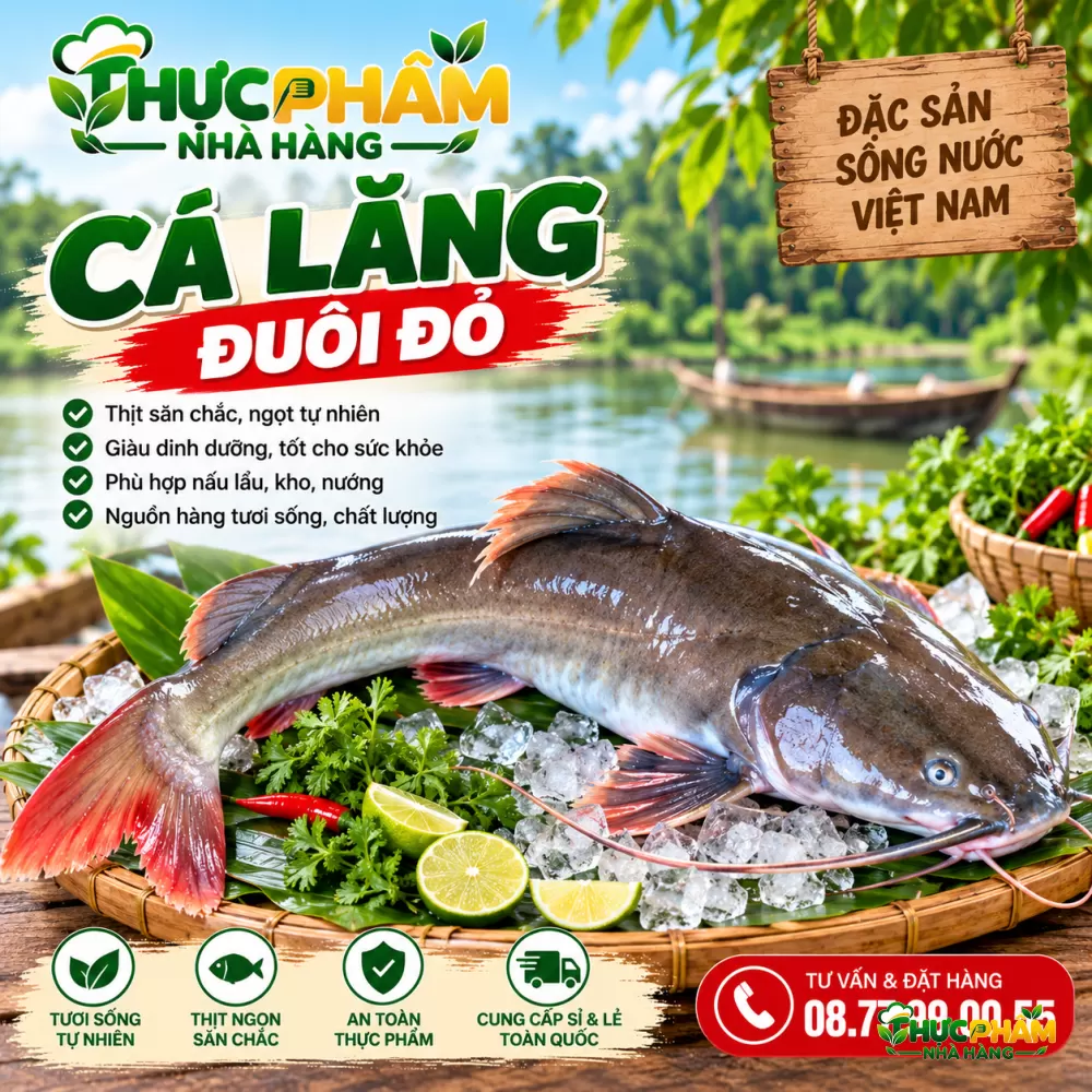 Hình ảnh sản phẩm Cá Lăng Đuôi Đỏ Cá Lăng Đuôi Đỏ - hình ảnh sản phẩm