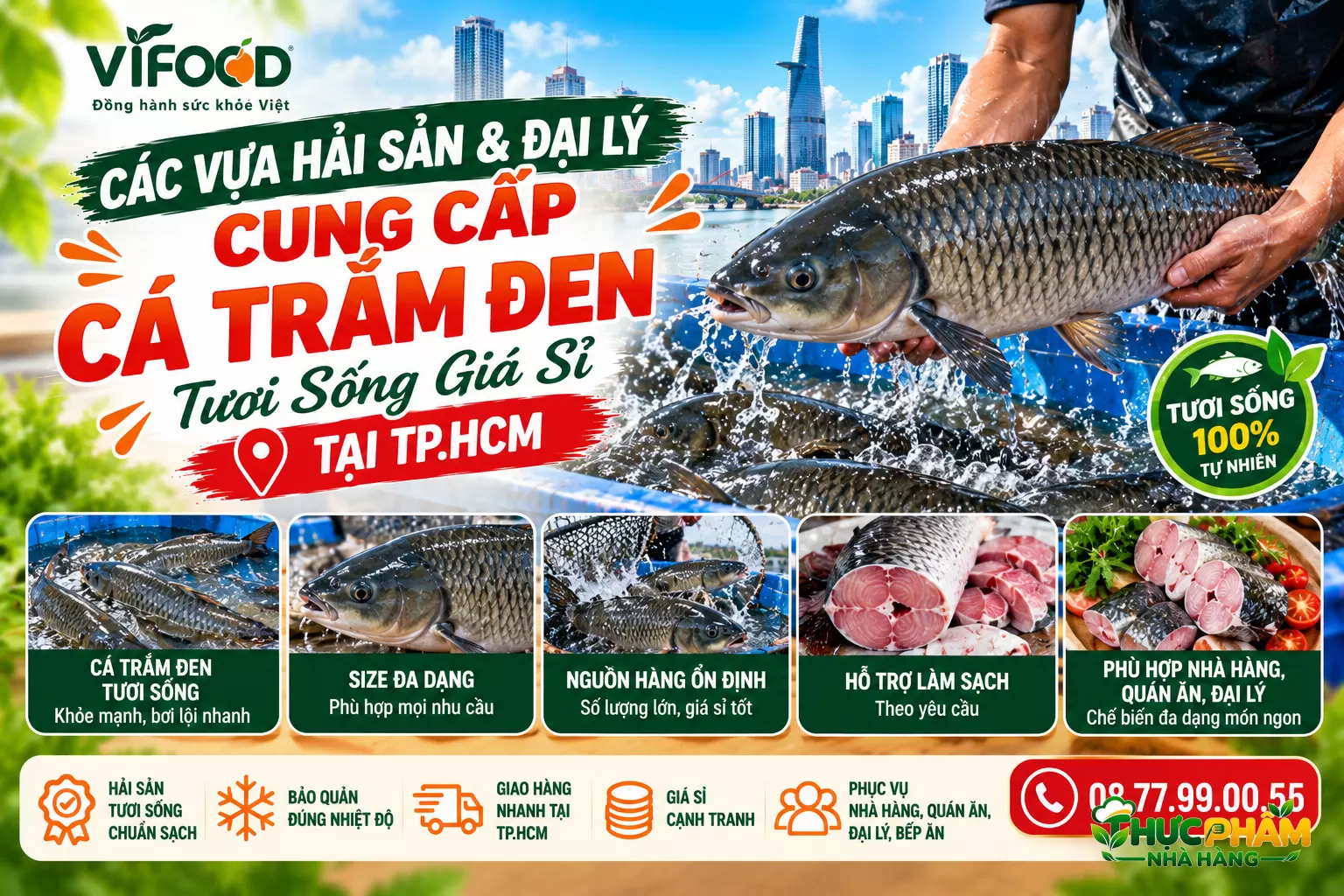 Các vựa hải sản & đại lý cung cấp cá trắm đen tươi sống giá sỉ tại TP.HCM