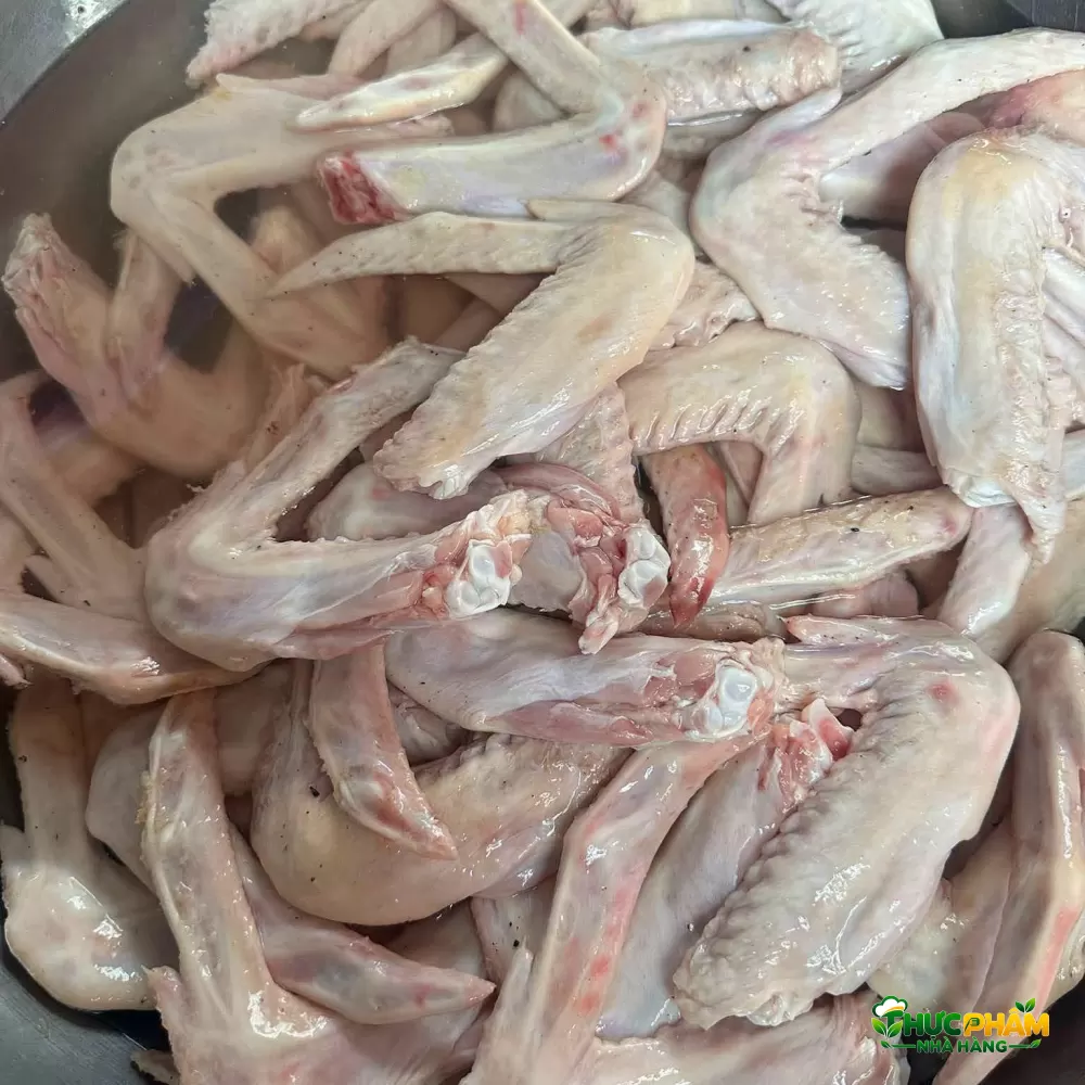 Cánh Vịt Tươi - ảnh 2