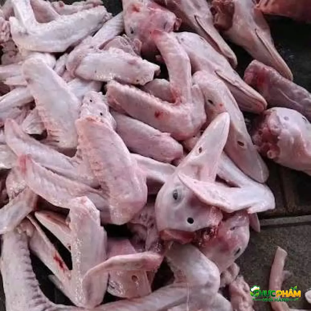 Cánh Vịt Tươi - ảnh 3