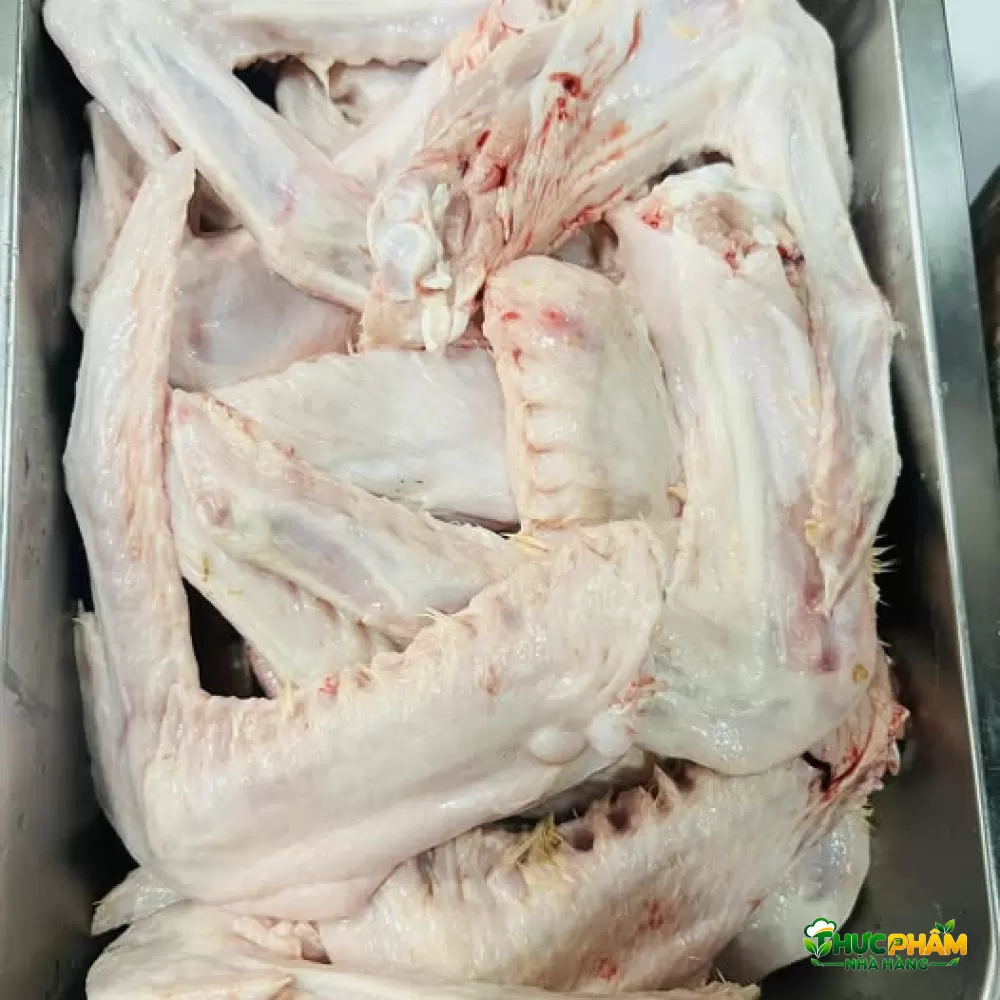 Cánh Vịt Tươi - ảnh 4
