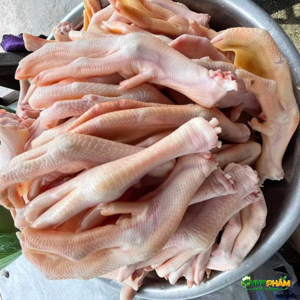 Chân Vịt Tươi - ảnh 2