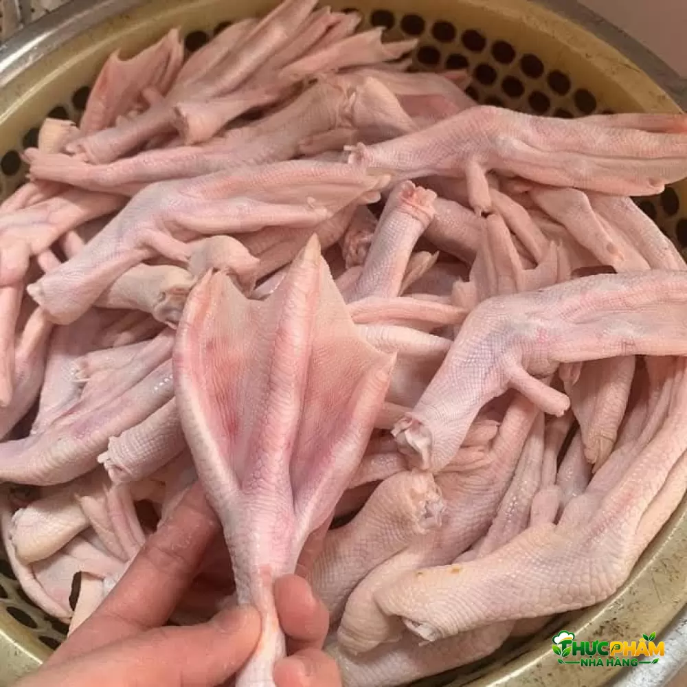 Chân Vịt Tươi - ảnh 3