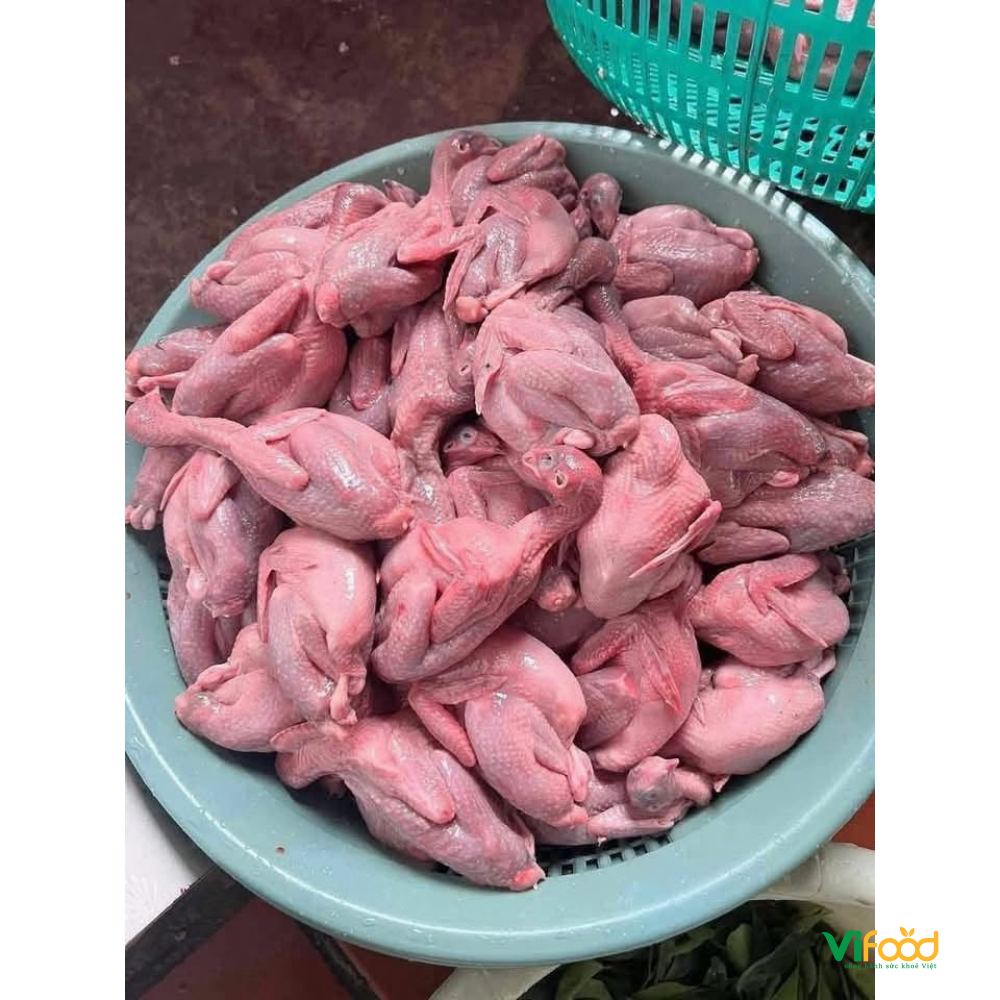 Chim Cút Thịt - ảnh 3