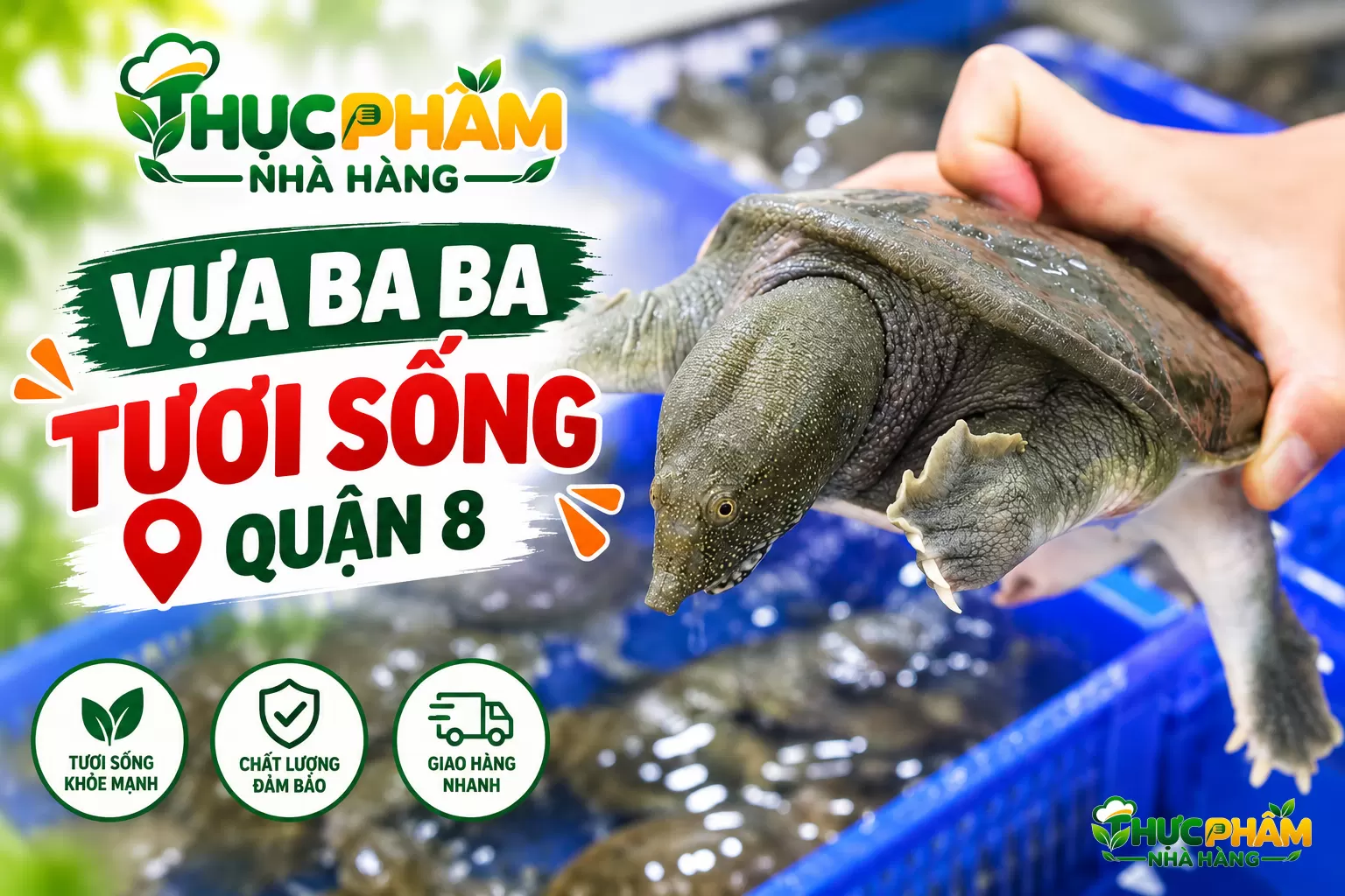 Địa Chỉ Bán Ba Ba Thịt Giá Sỉ Tại Quận 8 (Cũ) – Nguồn Hàng B2B VIFOOD