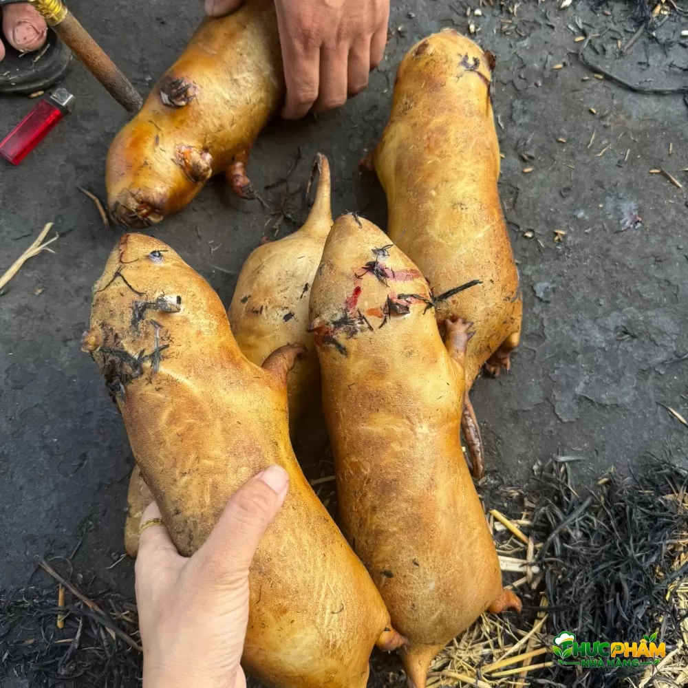 Dúi Thịt 1. Nhu Cầu Thị Trường & Giá Trị Kinh Tế Của Thịt Dúi Trong Kinh Doanh F&B — Dúi Thịt