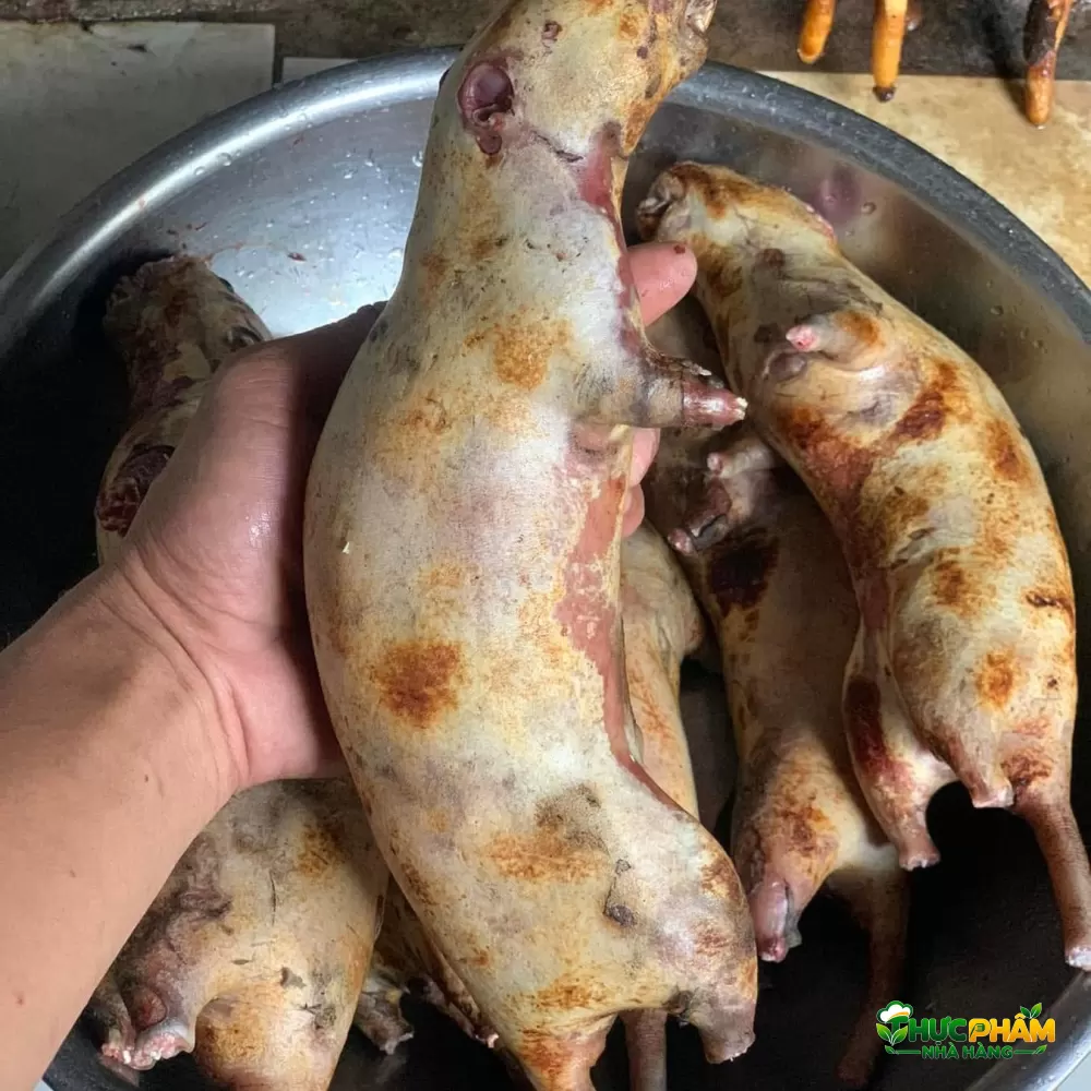 Dúi Thịt 3. PHÂN LOẠI DÚI THỊT BÁN CHẠY TẠI VIFOOD — Dúi Thịt