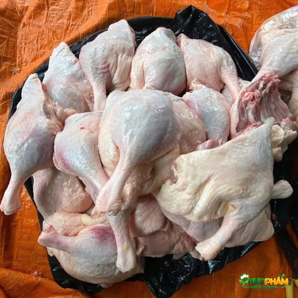 Đùi Vịt Góc Tư 3. LÝ DO KHÁCH HÀNG ĐÀ LẠT NÊN NHẬP HÀNG TẠI VIFOOD — Địa Chỉ Phân Phối Đùi Vịt Góc Tư Tươi Mới Giá Sỉ Tại Đà Lạt