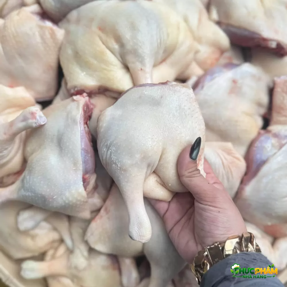 Đùi Vịt Góc Tư - ảnh 3