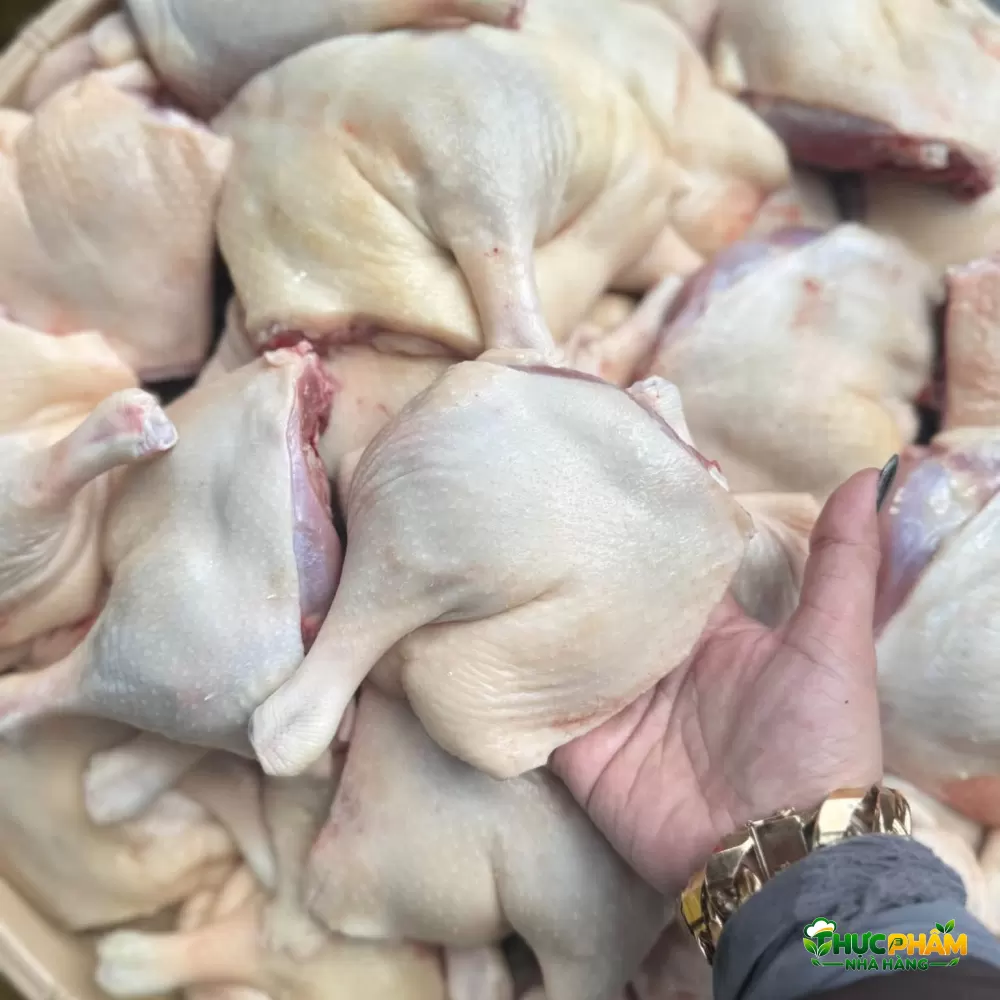 Đùi Vịt Góc Tư - ảnh 4