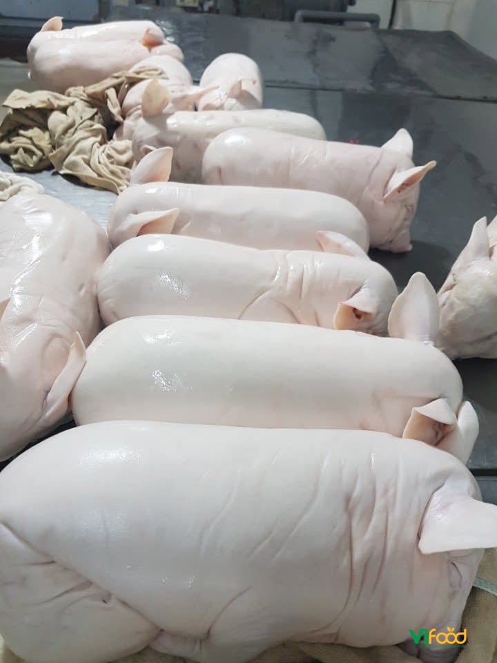 Heo Sữa Đông Lạnh - ảnh 4