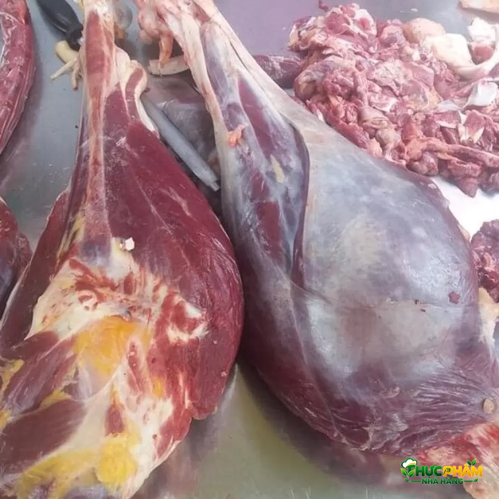Thịt Đà Điểu File 1. Nhu Cầu Thị Trường & Giá Trị Kinh Tế Của Thịt Đà Điểu Fillet — Thịt Đà Điểu File