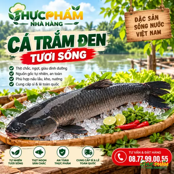Cá Trắm Đen