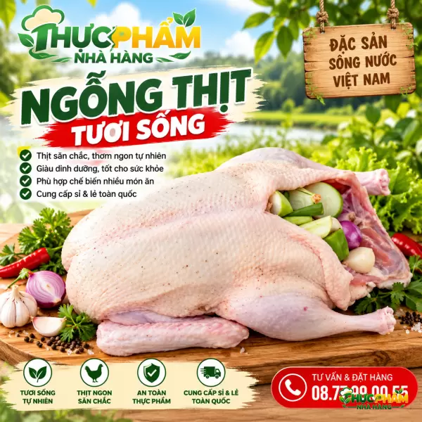 Ngỗng Thịt