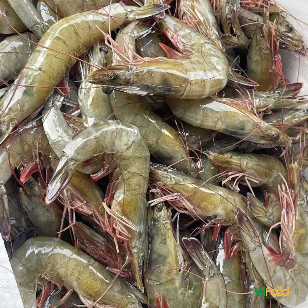 Tôm Thẻ Tươi Sống - ảnh 4