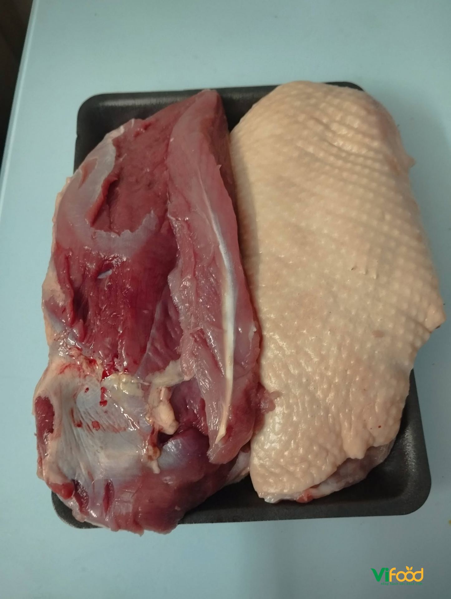 Ức Vịt Phi Lê - ảnh 2