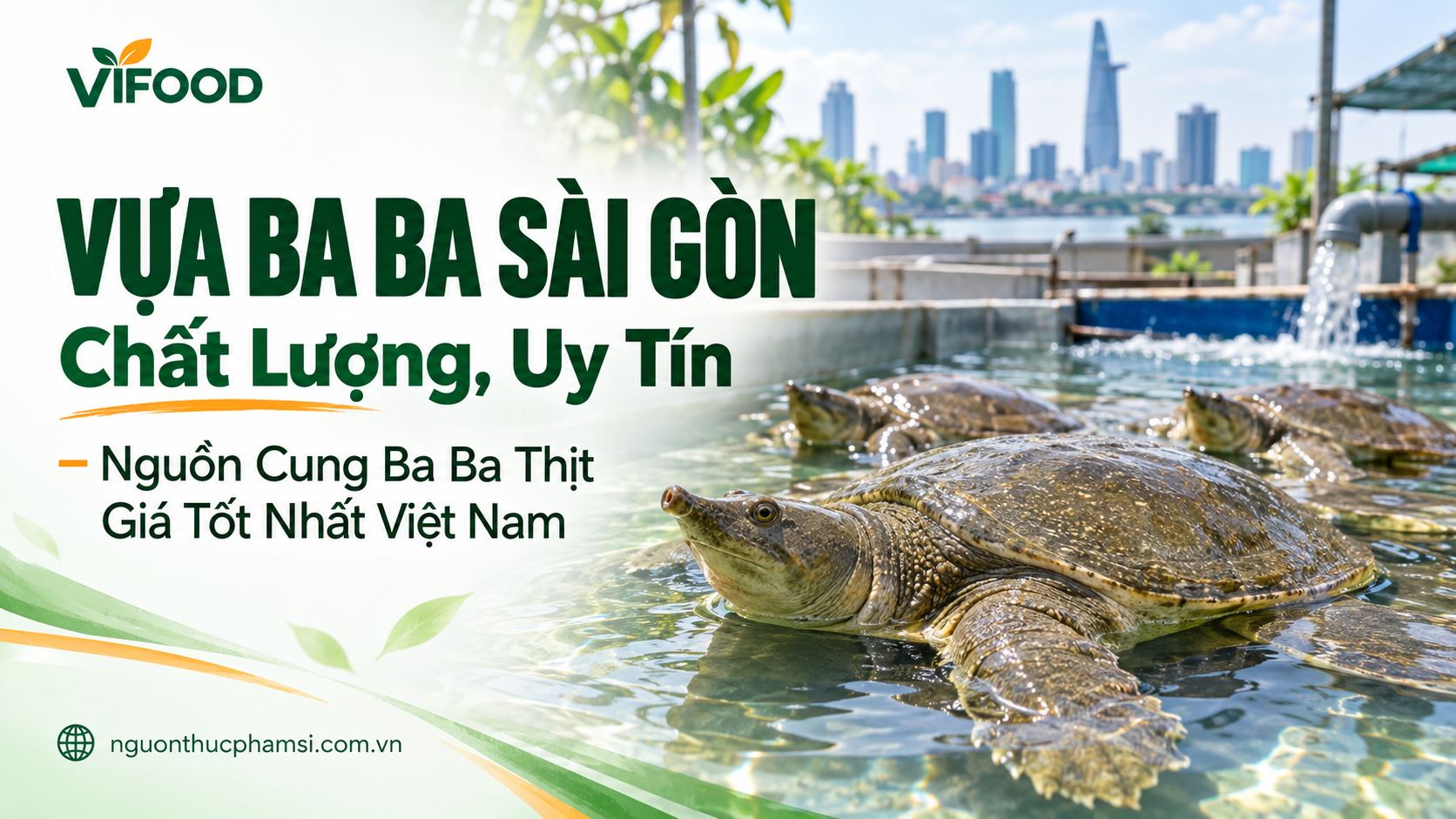 Vựa Ba Ba Sài Gòn Chất Lượng, Uy Tín – Nguồn Cung Ba Ba Thịt Giá Tốt Nhất Việt Nam