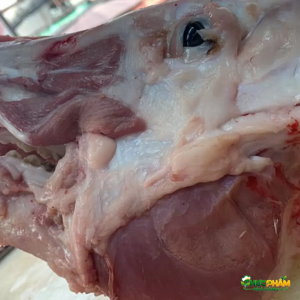 Xương Đầu Heo - ảnh 4